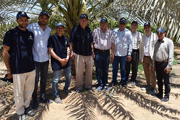 Evergrow and Arab Potash Company Research Team Conduct Field Visits in Menoufia and Ismailia