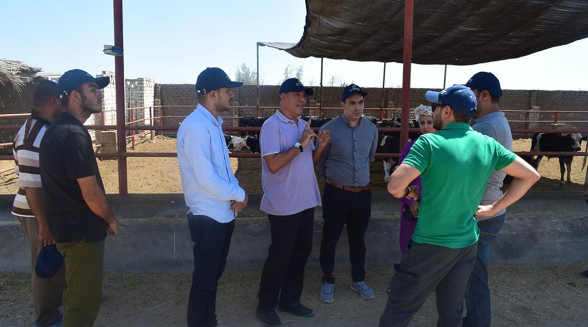 Evergrow Technical Support and Animal Nutrition Teams Conduct Field Visits to Livestock Farms