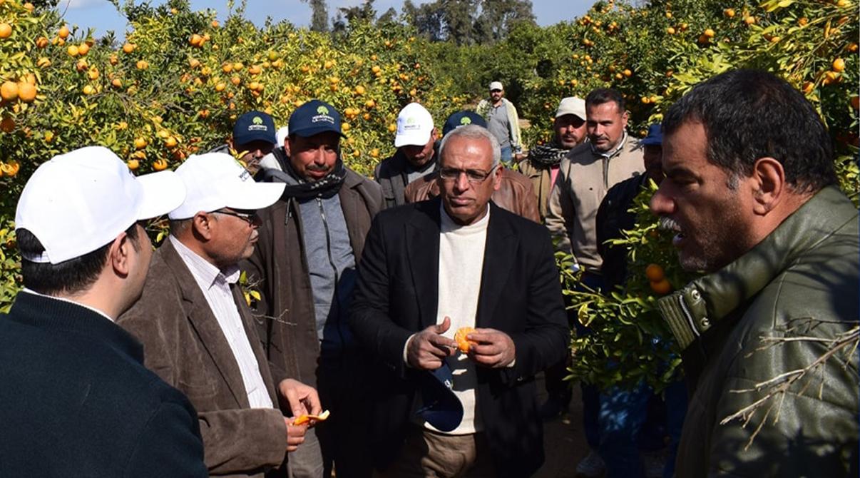 Evergrow Technical Support Team Visits Ramses Farm for Citrus Crop Guidance