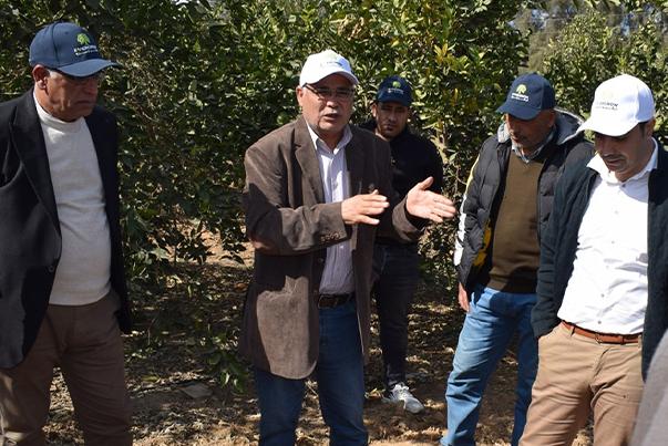 Evergrow Technical Support Team Visits Ramses Farm for Citrus Crop Guidance