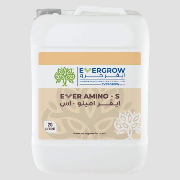 Ever Amino – S